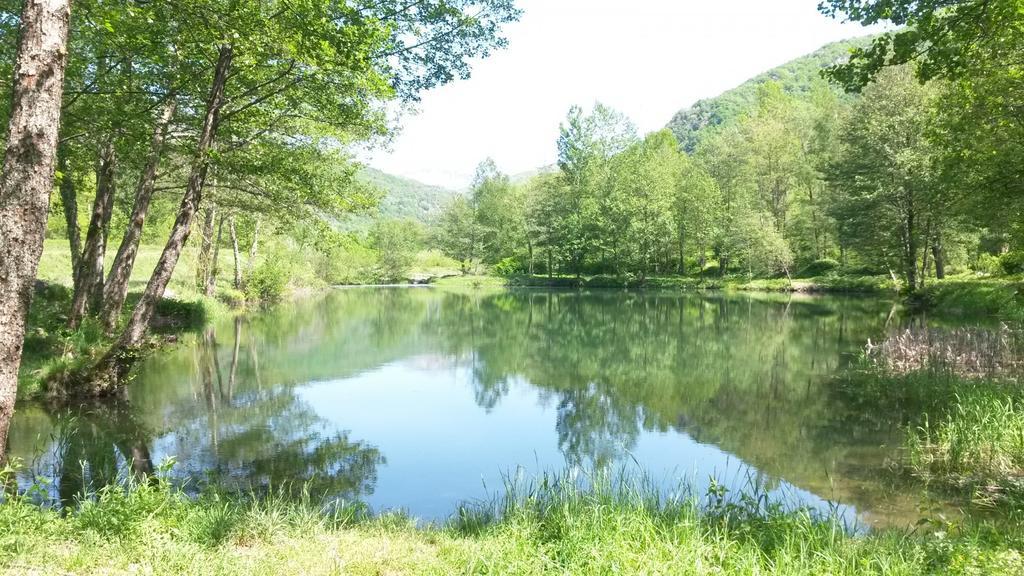 Camping Paradis La Marmotte Ax-les-Thermes Buitenkant foto